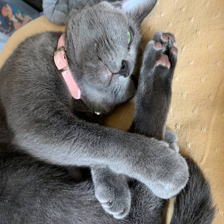 3f50f81f 213b 4ff6 b26d 87241c184f5a 1573340358333