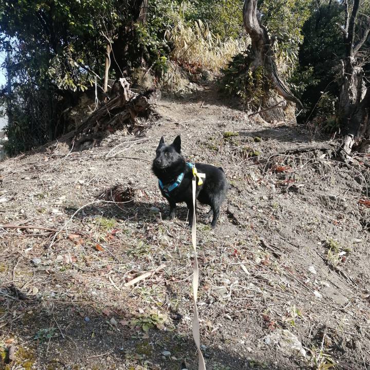 3f51089f d86b 4295 b74d 700d70ea6951 1645323868041