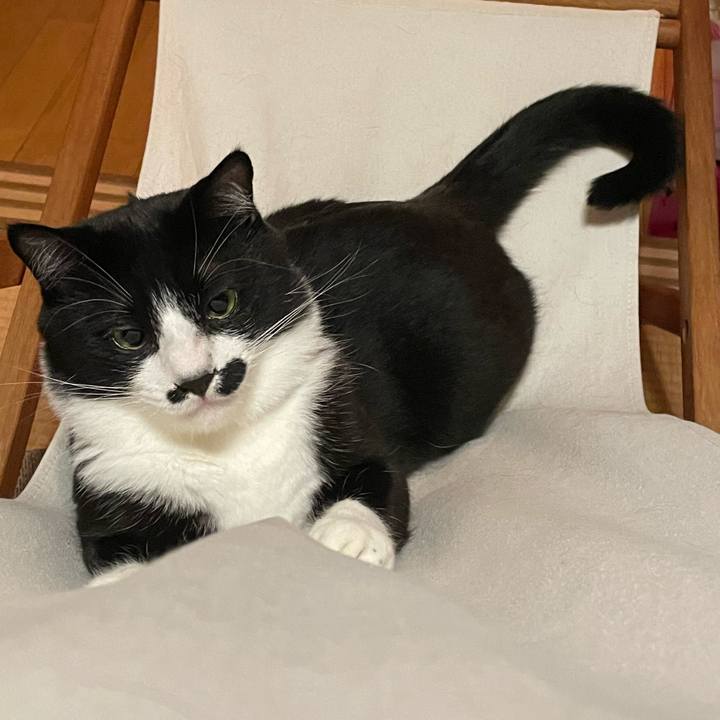 3f510958 75cc 443b 904a e44084ce79de 1650802252414