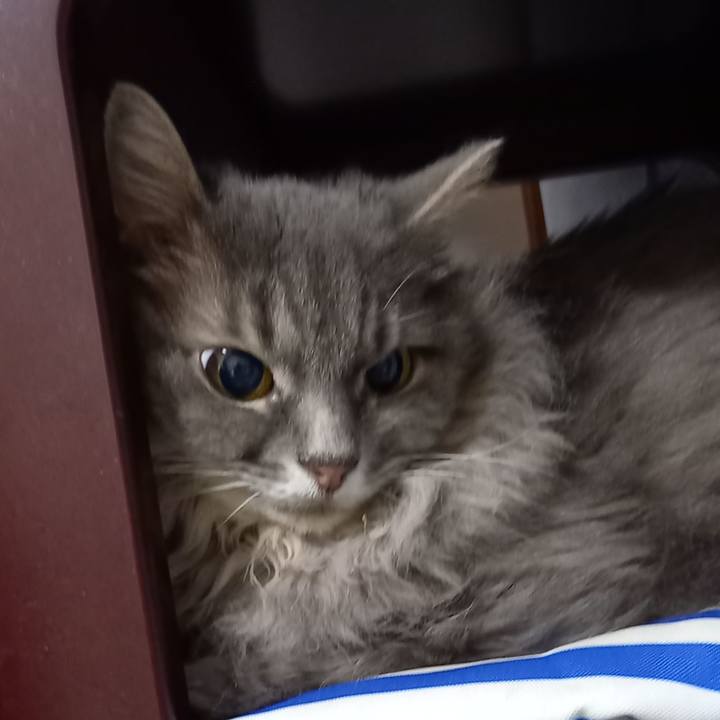 3f51147f 9c61 4eab bbcb 663d5e0dc417 1664403695062