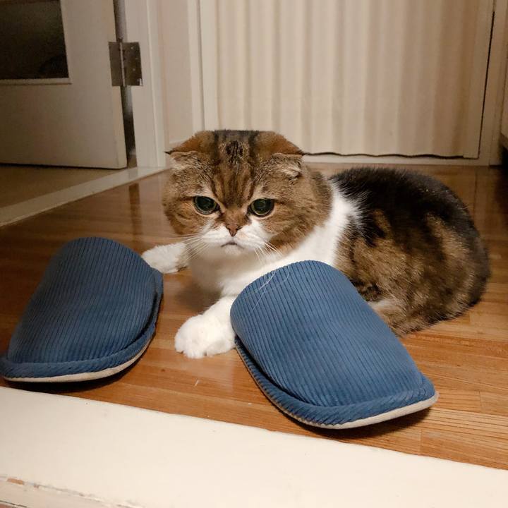 3f511bba 642b 458e 9fa6 3f89a75b74bc 1601581076547