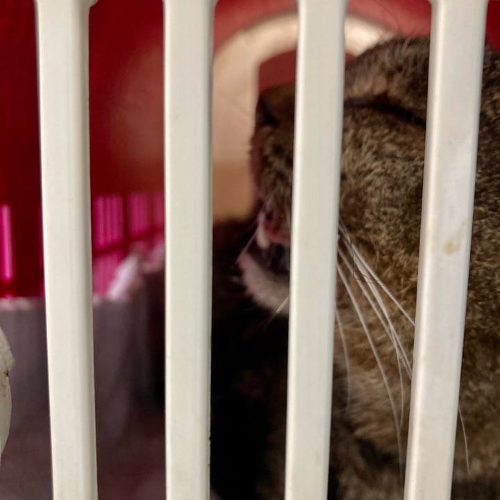 3f511fc4 e137 49bf 9456 3ea3b15dd0a1 1687484528186