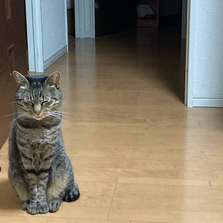 3f517301 6c65 449f 928b 8e5d52192ff4 1611666445820