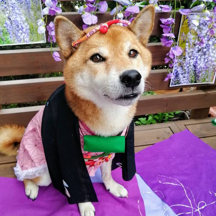 3f519e26 1367 41a7 addf 22667c638a95 1631416410721