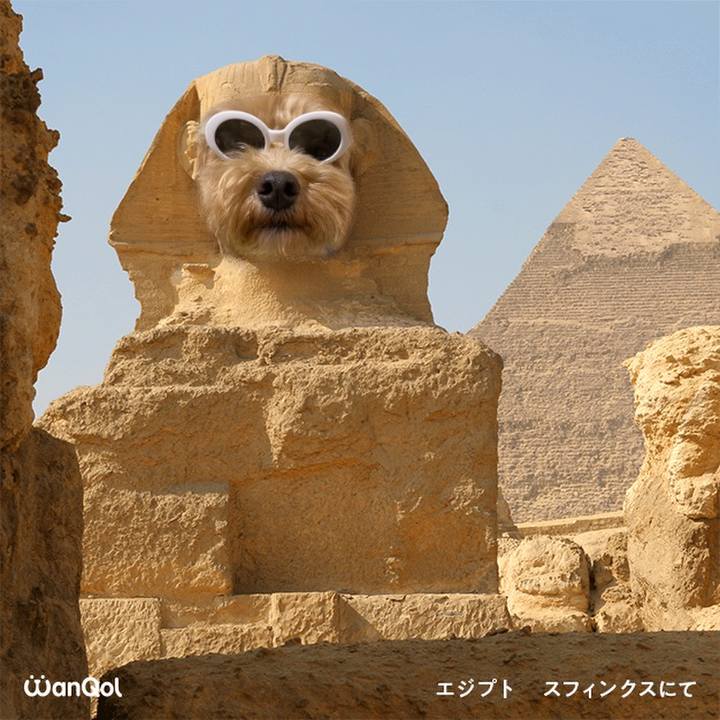 3f51c026 6467 4c5c a805 a9ae7e3dc304 1639523376602