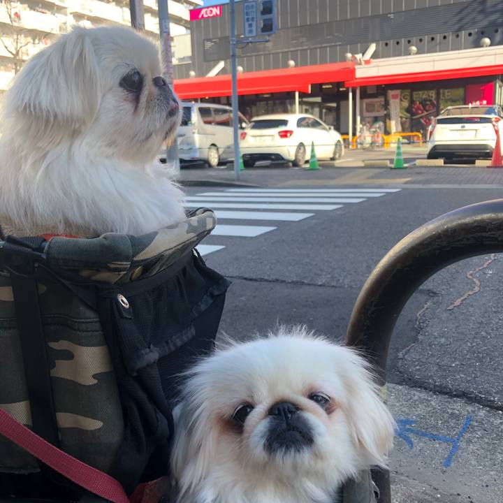 3f51c220 476a 4347 9be9 91fd5fce9398 1547444288981