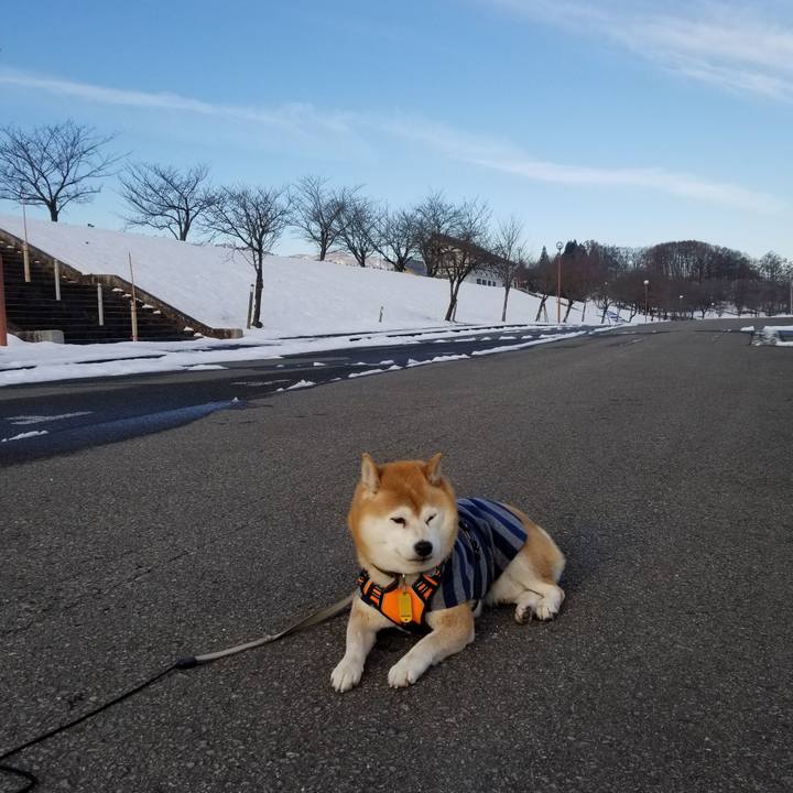 3f51e040 f4dd 4a43 9e8a 52cc93924990 1638163447054