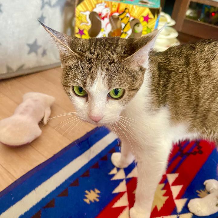 3f52328f 764d 4309 b718 5c2687d8401a 1636596846119