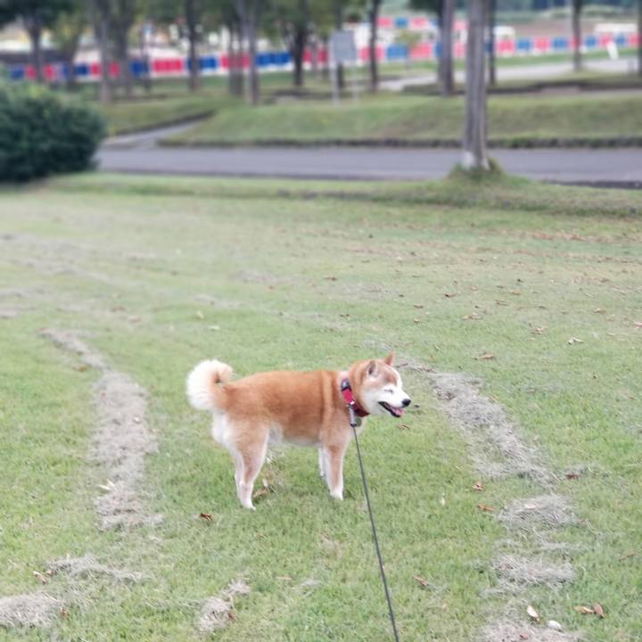 3f523f8b 6de1 48b5 824a d55438271c9e 1727423920026