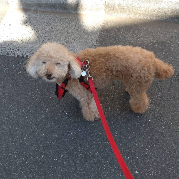 3f5240ba a8f7 44d9 8c72 380facf16d88 1653807765395