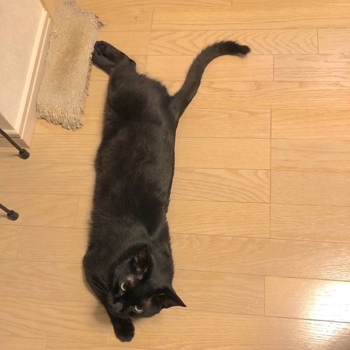 3f52698d 2ddc 41a1 a877 30655370bb4b 1526644972802