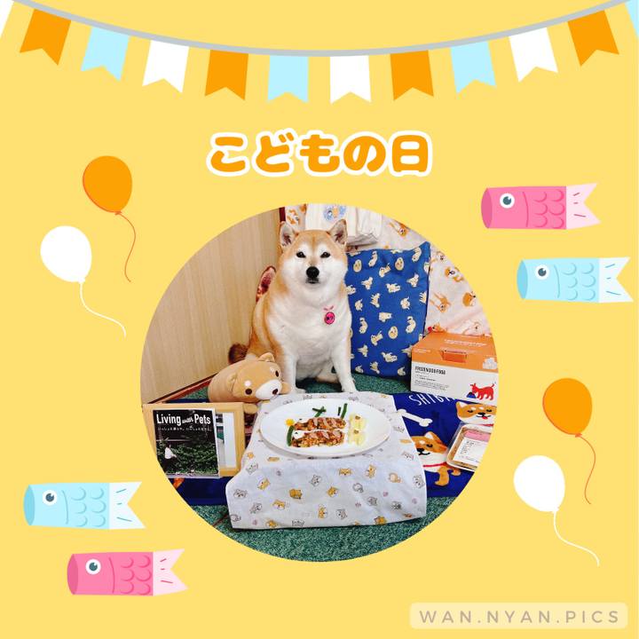 3f528deb 6666 421a a5fd 3b51b960bca9 1683252617997