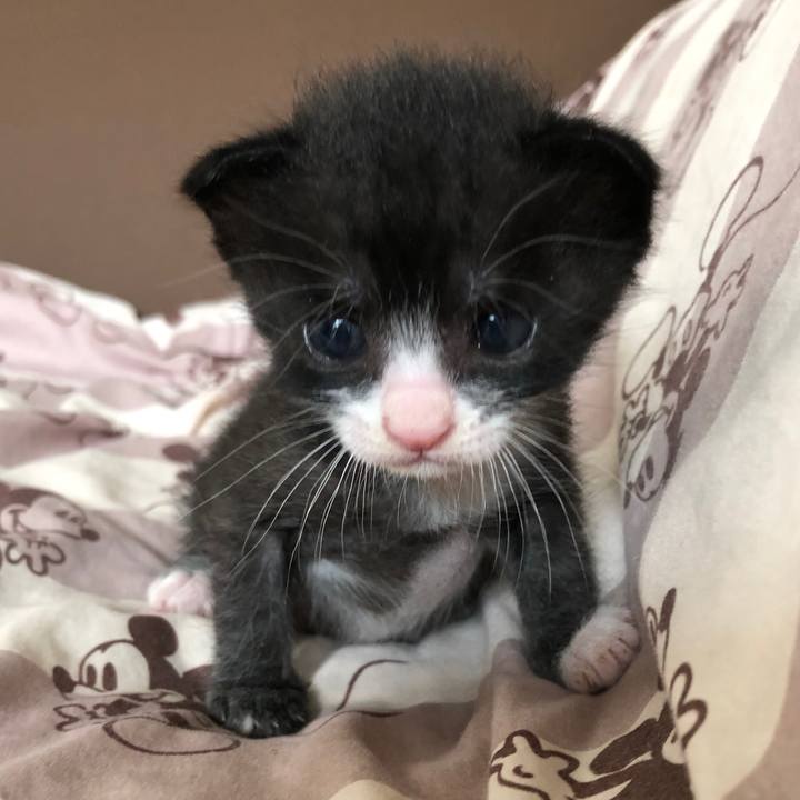 3f529307 ecd4 4275 aa77 b028178b366a 1596717678600