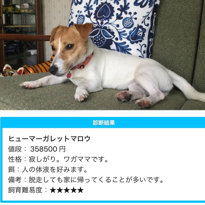 3f529541 033b 4a08 aae1 47fde9c1c64f 1529805860730