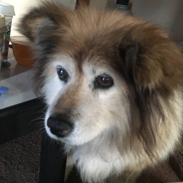 3f529a2f e22a 4c34 a3bf 60e771385df8 1586846287310