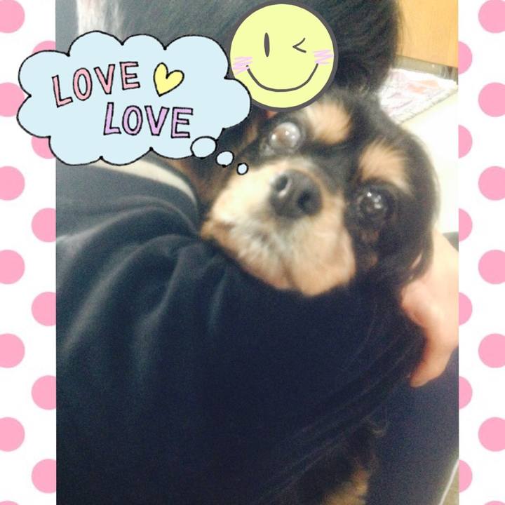 3f52c02a 92a0 46f8 9b31 c789afdc9ac0 1514275699174