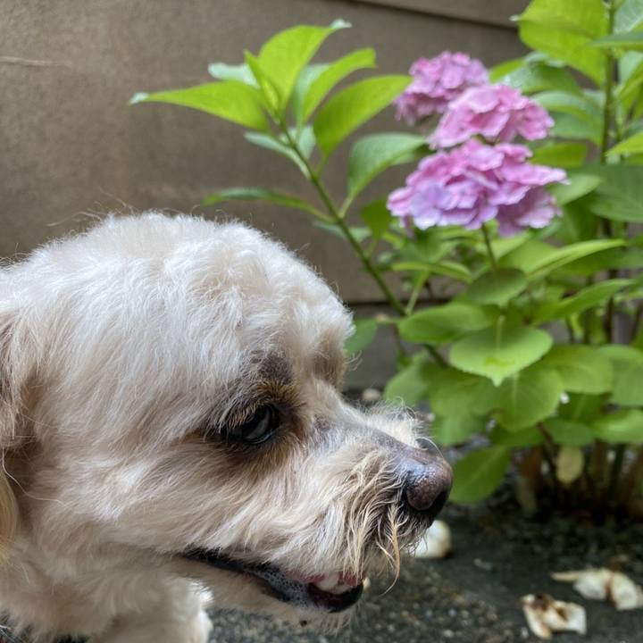 3f52d8e6 cc5b 4642 a39b 3818d3da61f7 1592121073237