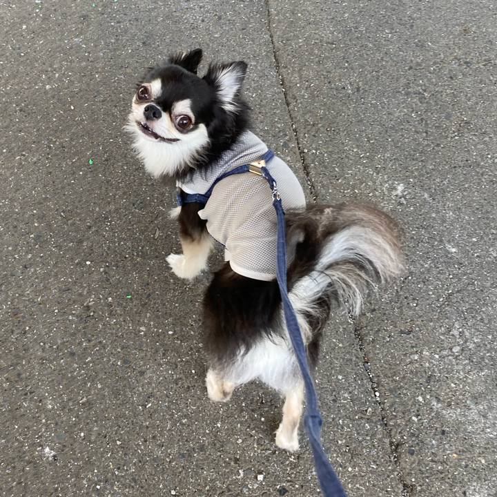 3f531b59 2da6 45c2 ba9b 24e8ca290fed 1694703412069