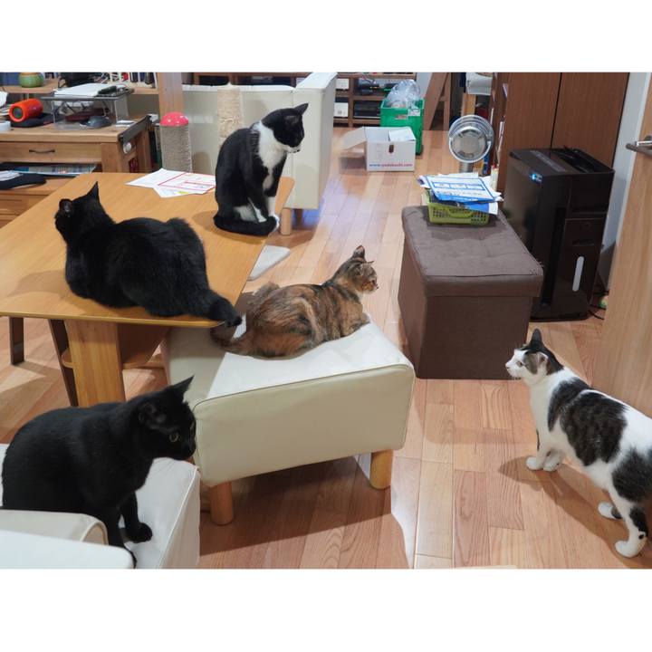 3f531c49 5d75 4813 9fe1 aea71ae875ef 1601978231243