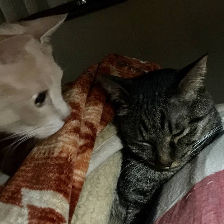 3f531cc5 50b3 4e9b bbd1 0db31f27e335 1522931823677