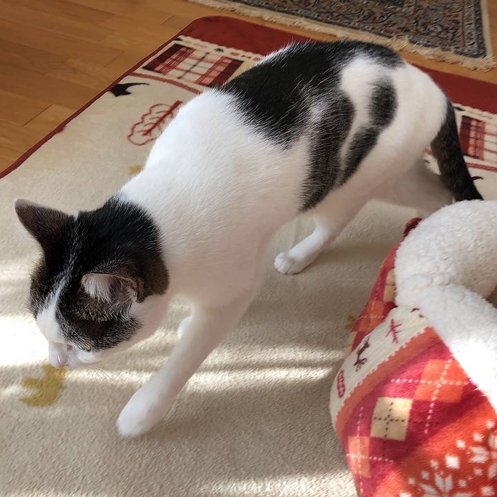 3f534925 e59e 44e3 9581 757ac011bd45 1701146576210