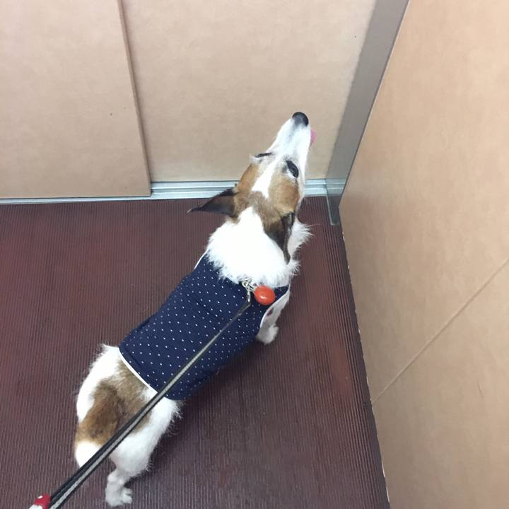 3f5375d5 2b75 4516 84bd 58ea55be80af 1628637685387