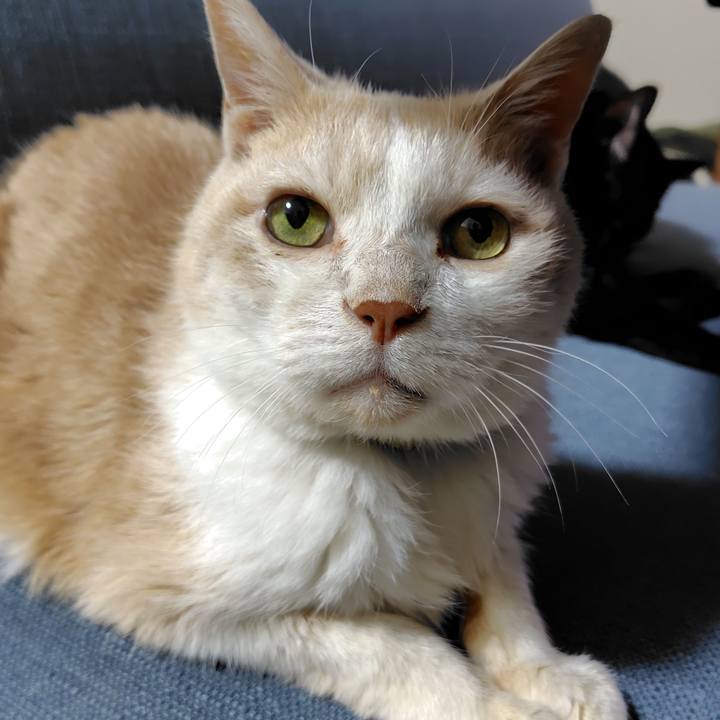 3f5379c7 0757 4583 ab98 ad4132e84a3f 1762515495293