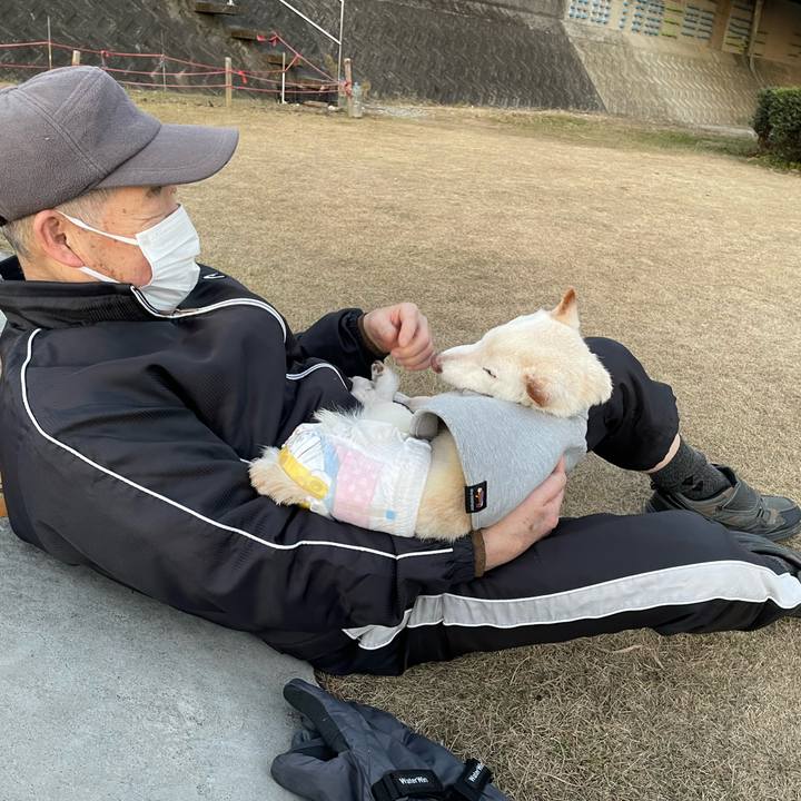 3f539fdb 3093 4529 a6bb e329f4d6f126 1672660058415