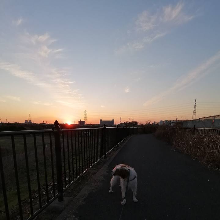 3f53a6da 7e93 4bc8 ba6d d049b7b46619 1578731961150