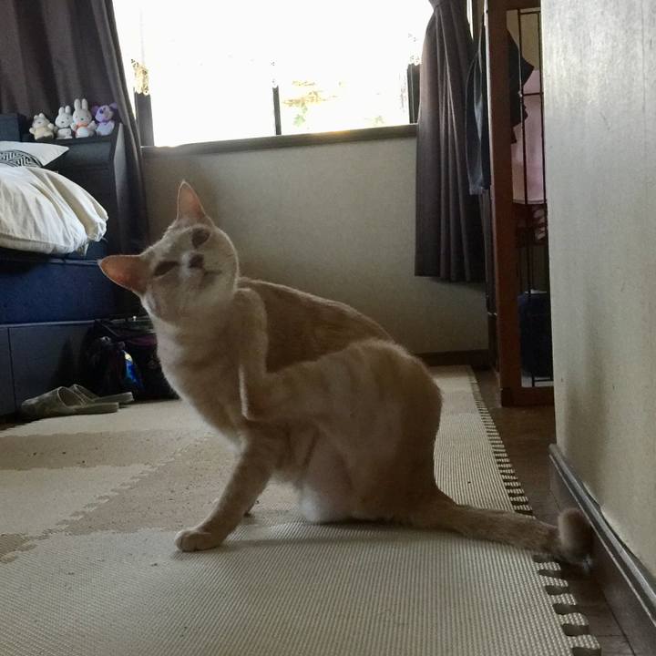 3f53a732 02df 49cc bc4c dcb7ae0a3c92 1589356167807