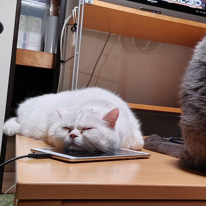 3f53aebb 00b2 41a8 ae37 33467819a54a 1679320520287