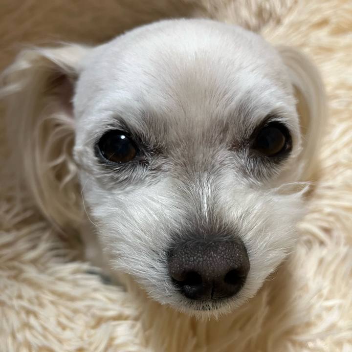 3f53b2cc b531 468c ad75 2f86c9985241 1682686255778