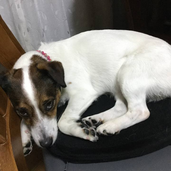 3f53c3ab 073a 44e6 b1a6 e628dfa2ff03 1524479712112