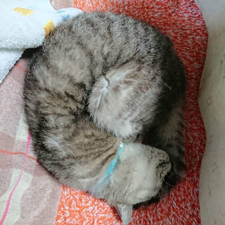 3f53d6e4 f04a 4bd5 be82 e92b27ae0e6a 1567290481648