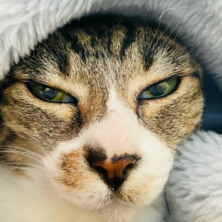 3f53ddd9 d395 49ed befb 0c00d70af84a 1615599793171