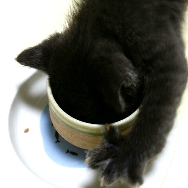 3f53e046 fe3f 4b3c abaa 08fd8619f4b5 1536925832052