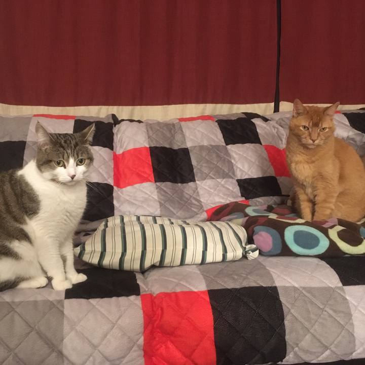 3f540f1a 3263 47cb 9108 913659ca58bb 1633393344939