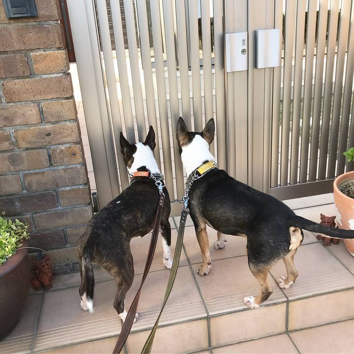 3f542aeb 88e6 4c7a 9cf3 2be472974ee1 1522403887720