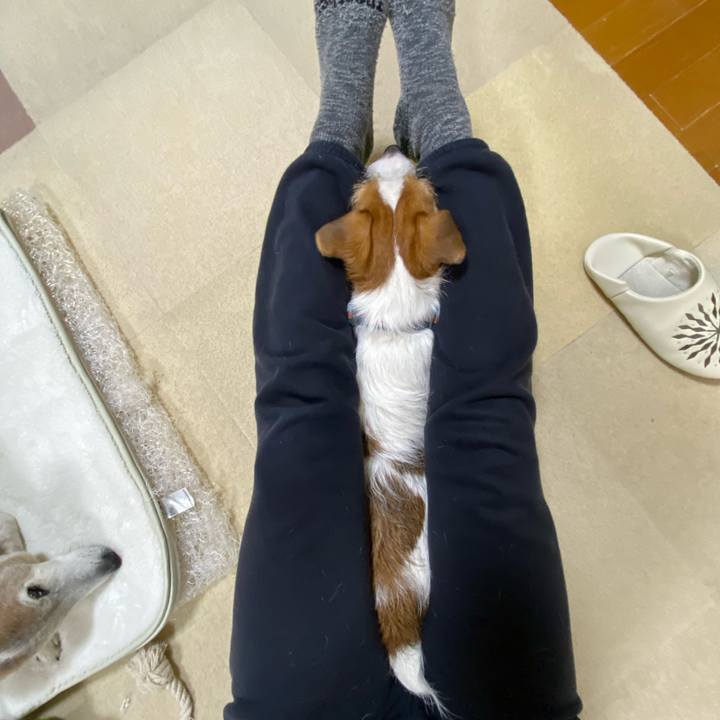 3f543929 2421 4a34 9550 031d5f3f38ff 1709066806815