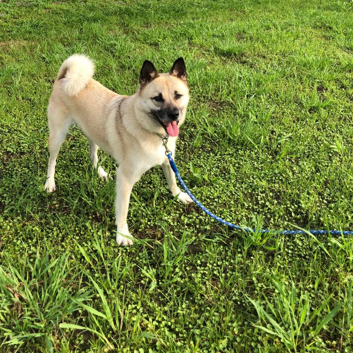 3f543ba1 0ed4 4e40 9205 5452c735bcf6 1593429534393