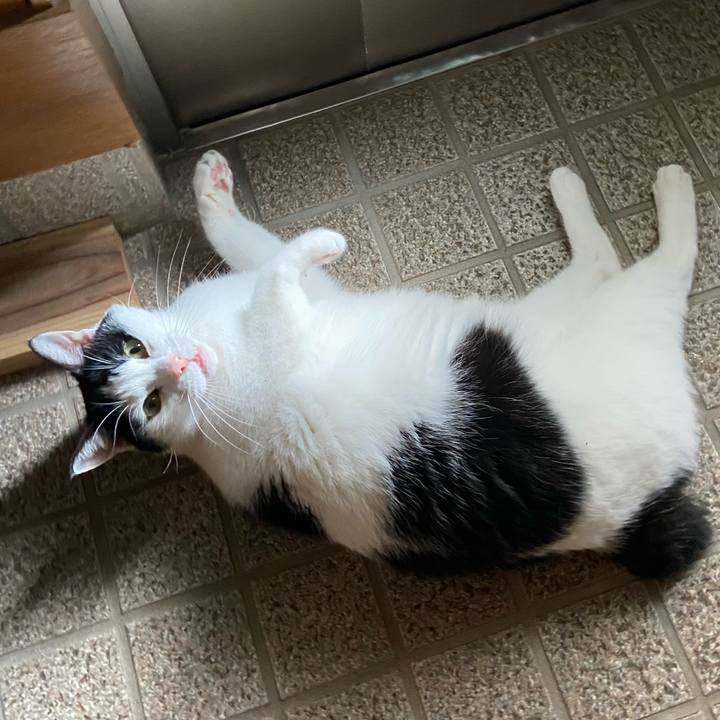 3f545d67 f450 4d08 a9d1 58719b1485dc 1587817385939