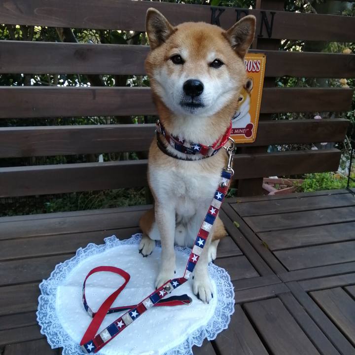 3f5473a2 ba68 4675 846b 5447cbf9b31d 1640608367320