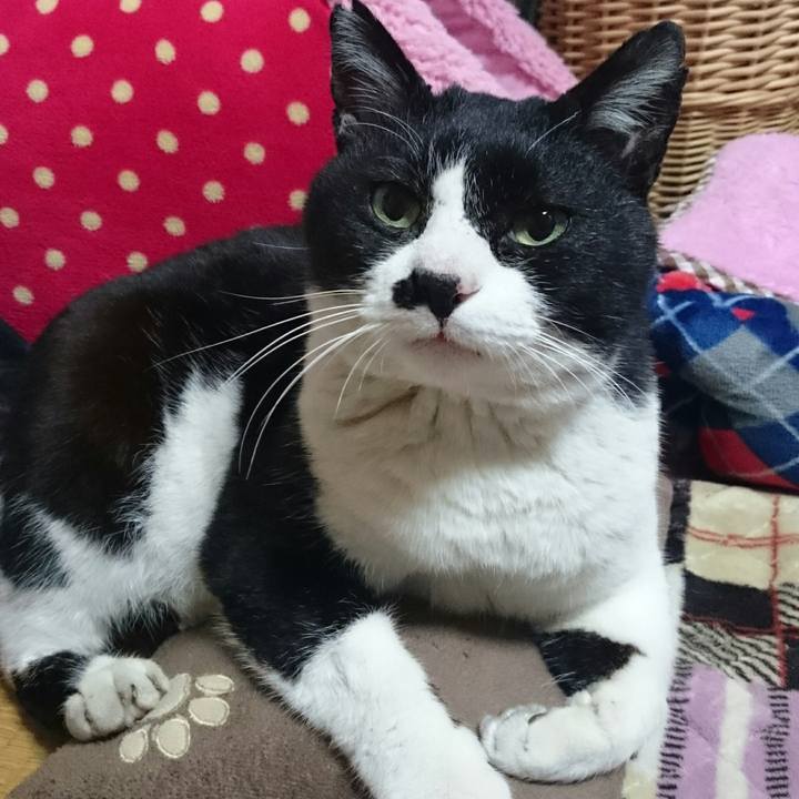 3f54776d e195 4be3 809f 01e996e42db2 1519732533537