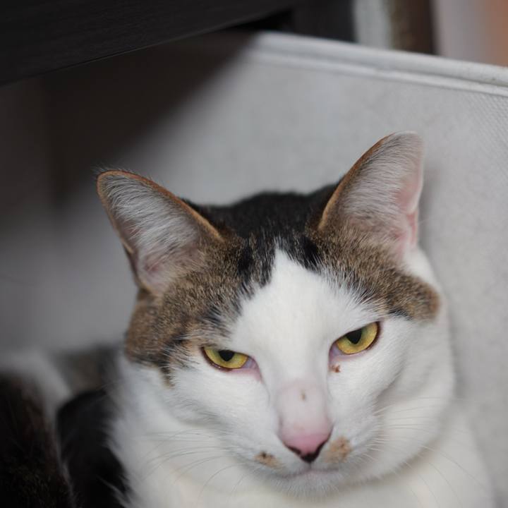 3f5478a6 8e14 4f9f a41f 8e67e126648f 1577973001866