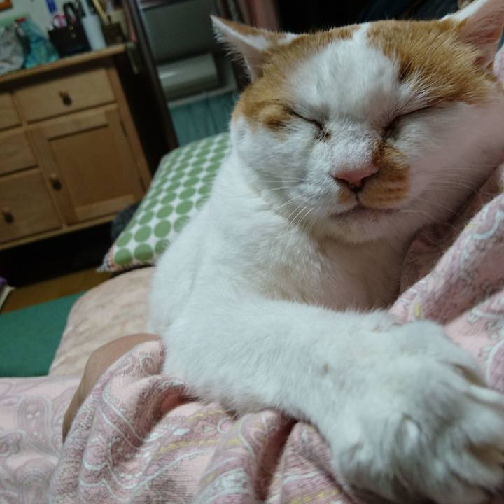 3f548e68 ce56 4855 880b 3d7ca668fd83 1590911268333