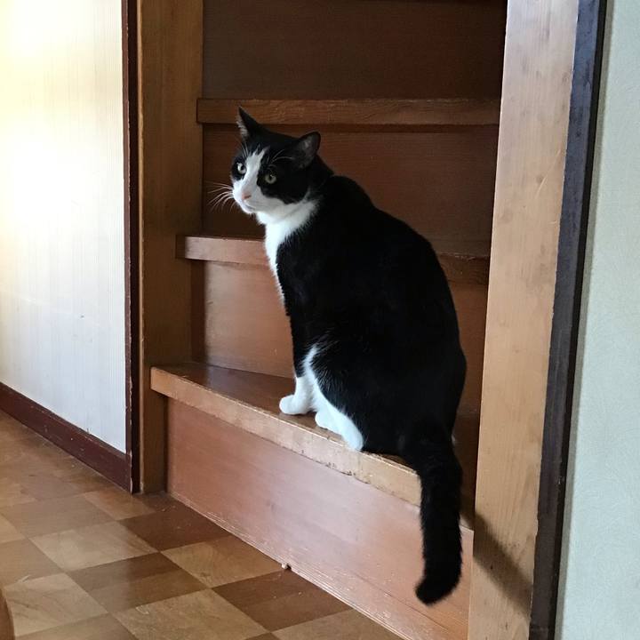 3f54913b 77a0 4246 99ae 1ee4b0800faf 1726557344949