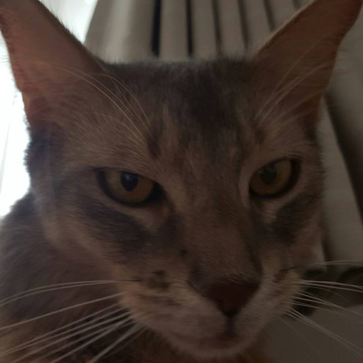 3f54a6b4 4698 4164 b358 3819d7bb58e5 1534568478638