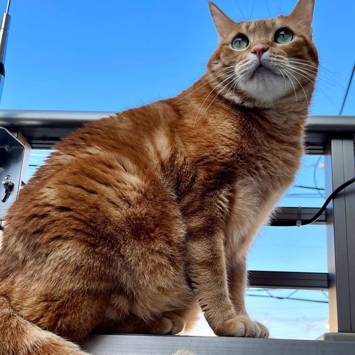 3f54b018 4c4f 46bf a180 f18d0c124b40 1697942471182