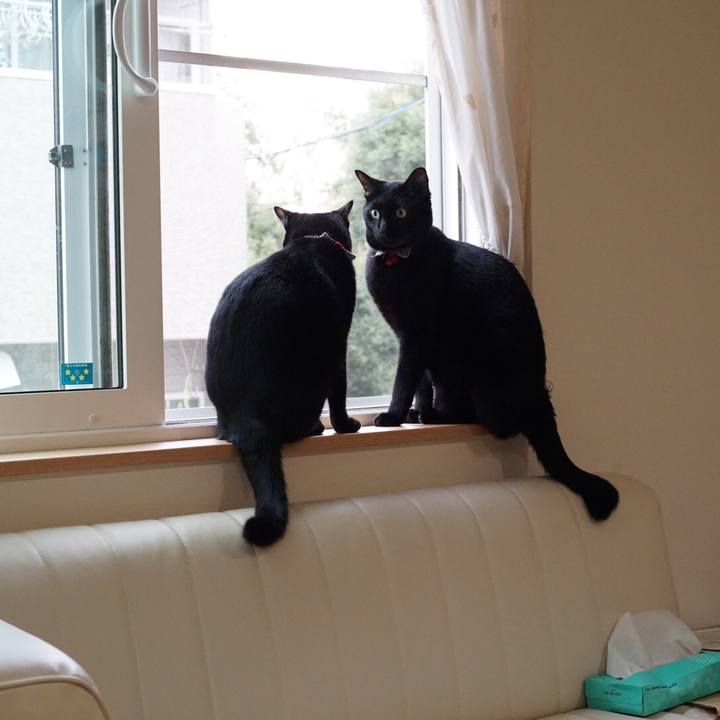 3f54d0f7 2ea7 43bc b928 5cdeec47c5e2 1532922778886