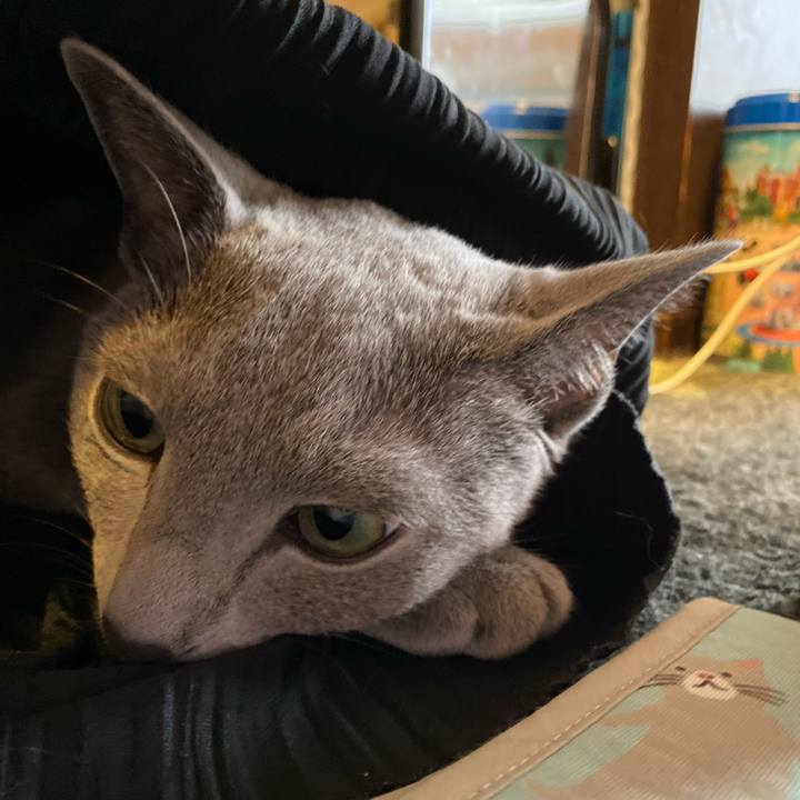 3f54d362 d4bc 4233 aa25 d5e0e7f301bf 1655528897744